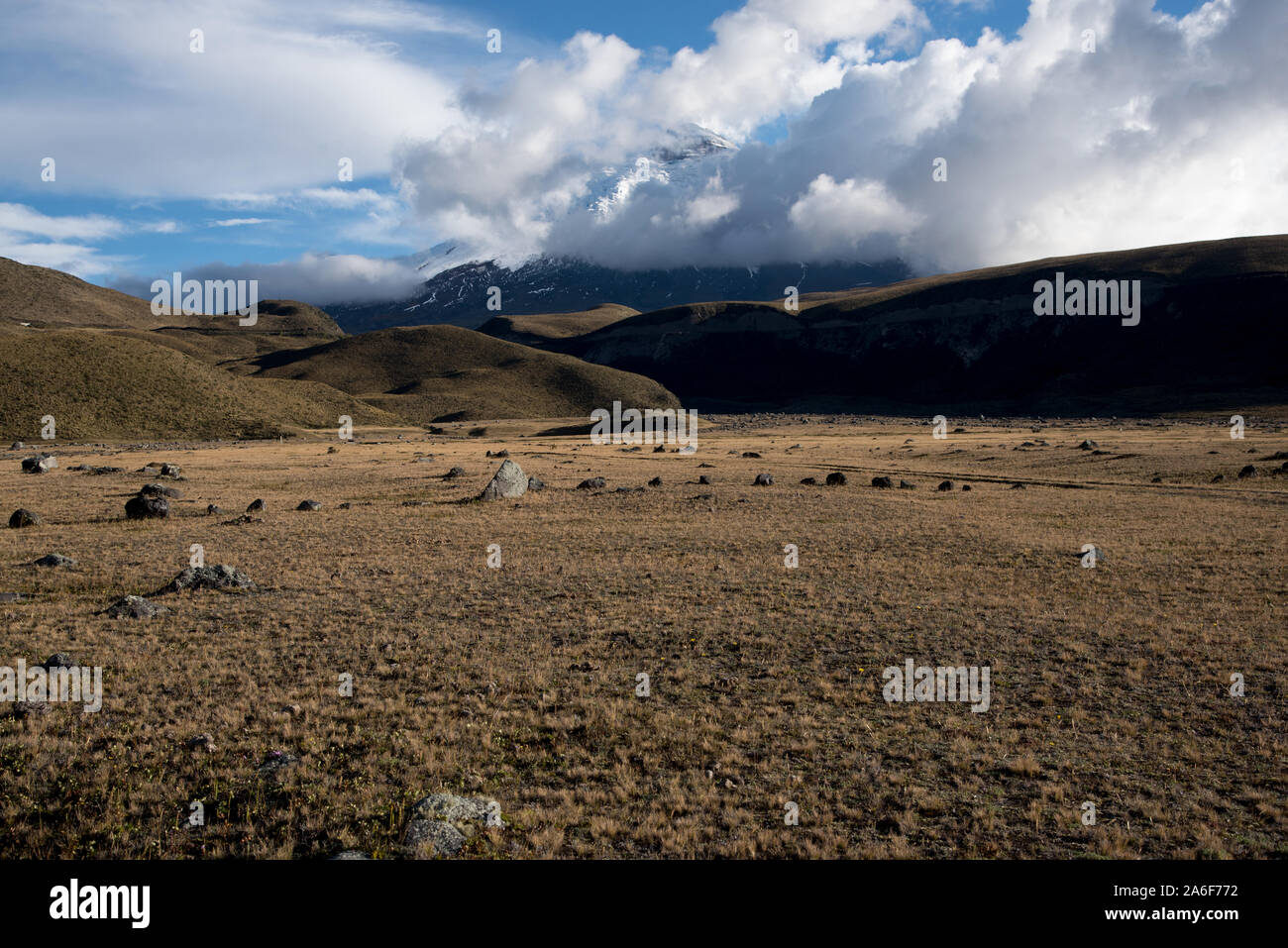 Paramo Hochland durch Eis gesichert - überdachte Vulkan Cotopaxi in Ecuador. Stockfoto