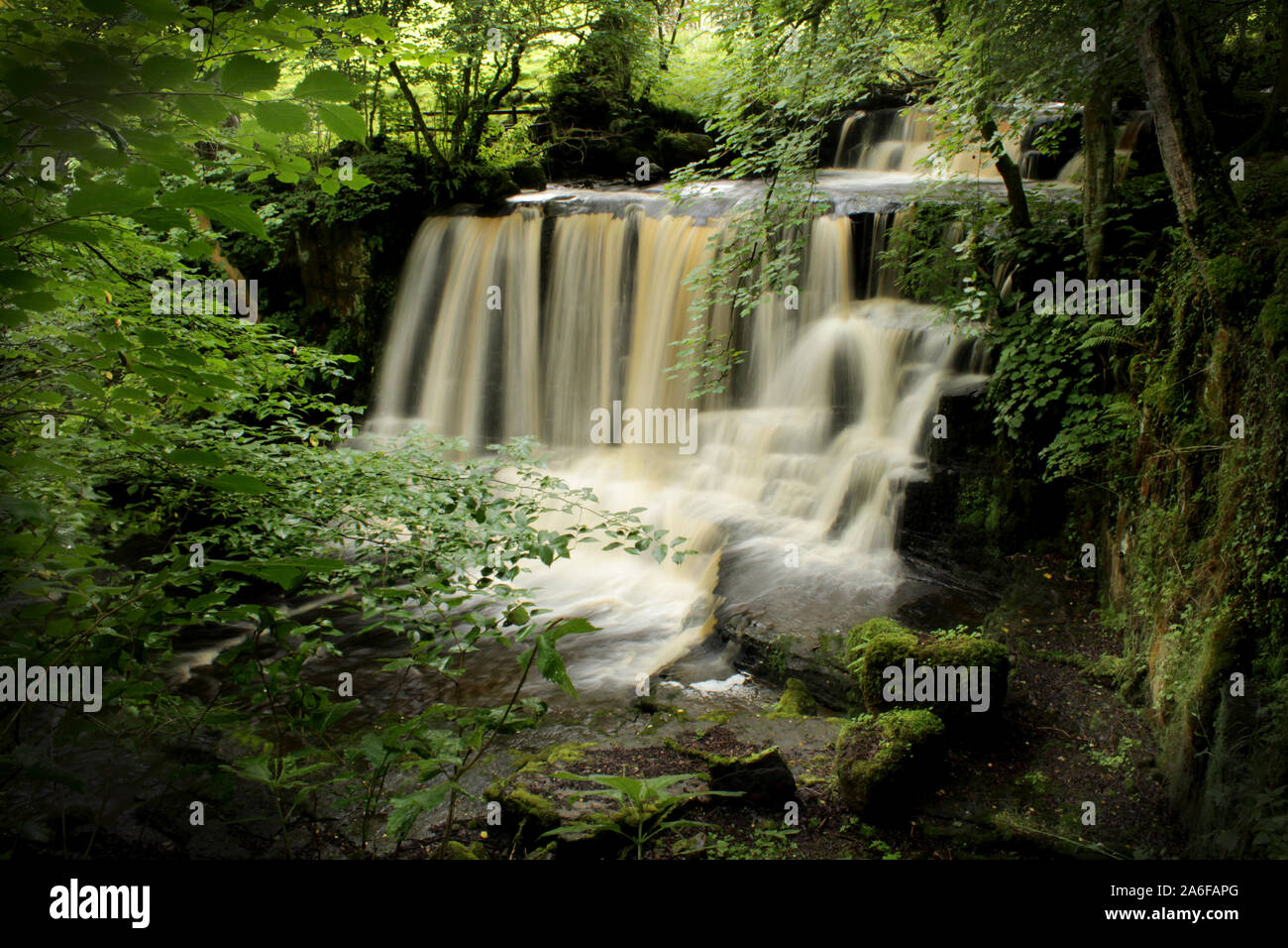 Wasserfall im tiefen Wald reeth Yorkshire Dales Stockfoto