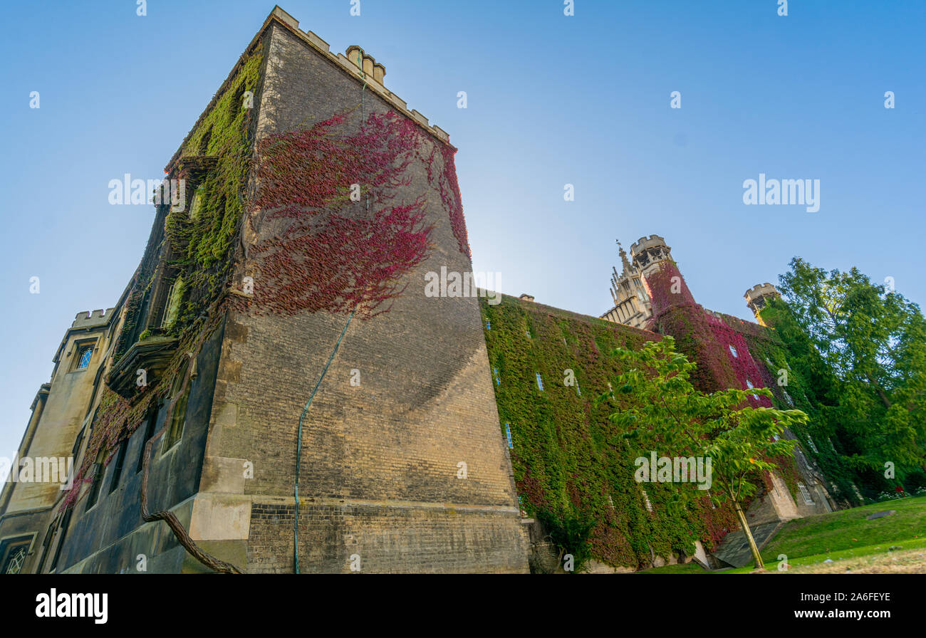 Panorama des berühmten Königs College der Universität Cambridge und Kapelle in Cambridge, UK Stockfoto