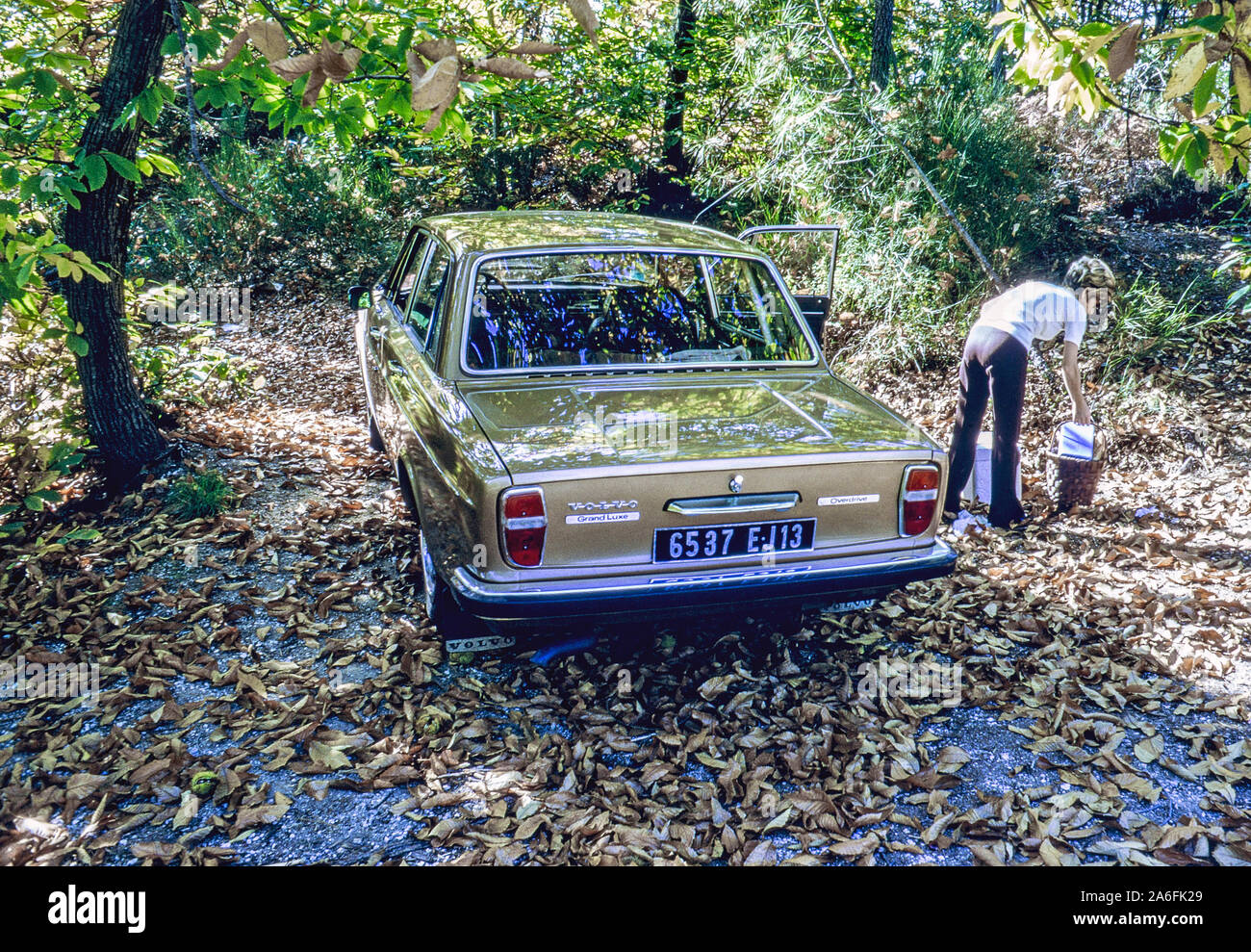 Volvo 144 GL Stockfoto