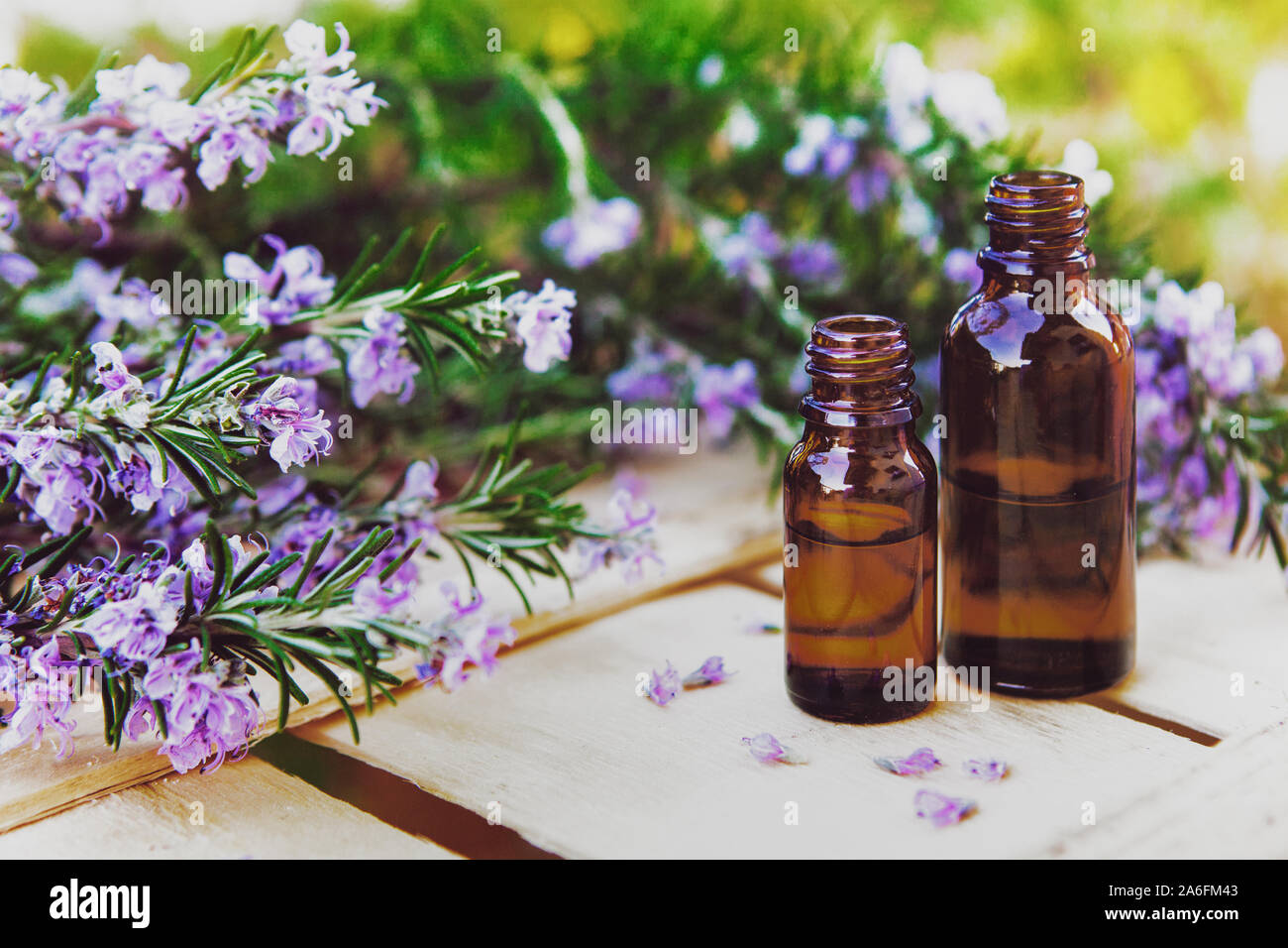 Ätherisches Öl und Lavendelblüten, Kosmetik Aromatherapie Stockfoto