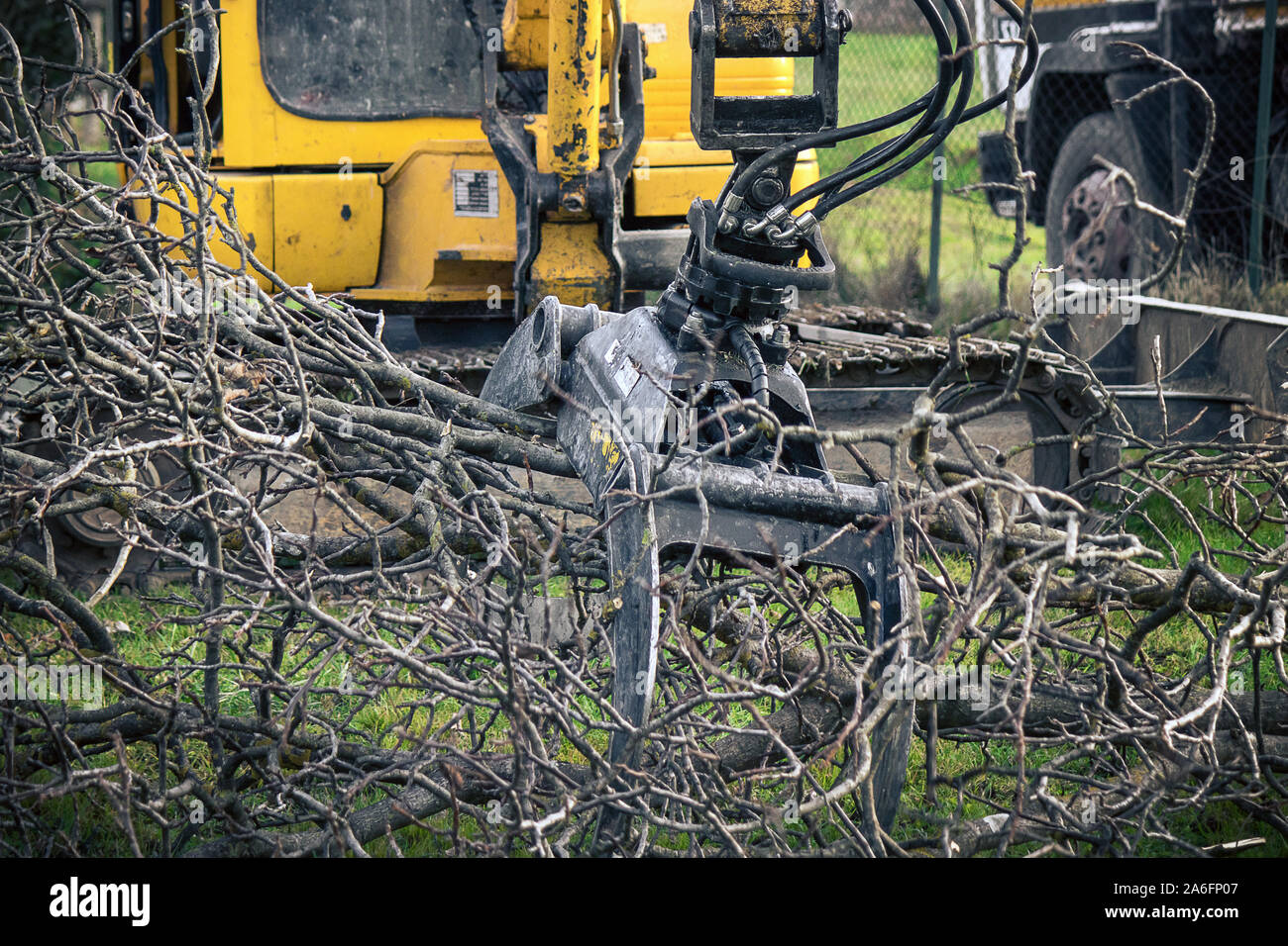 Bagger Greifer, Detail der schweren Maschine, bewegt sich Äste und Stämme Stockfoto