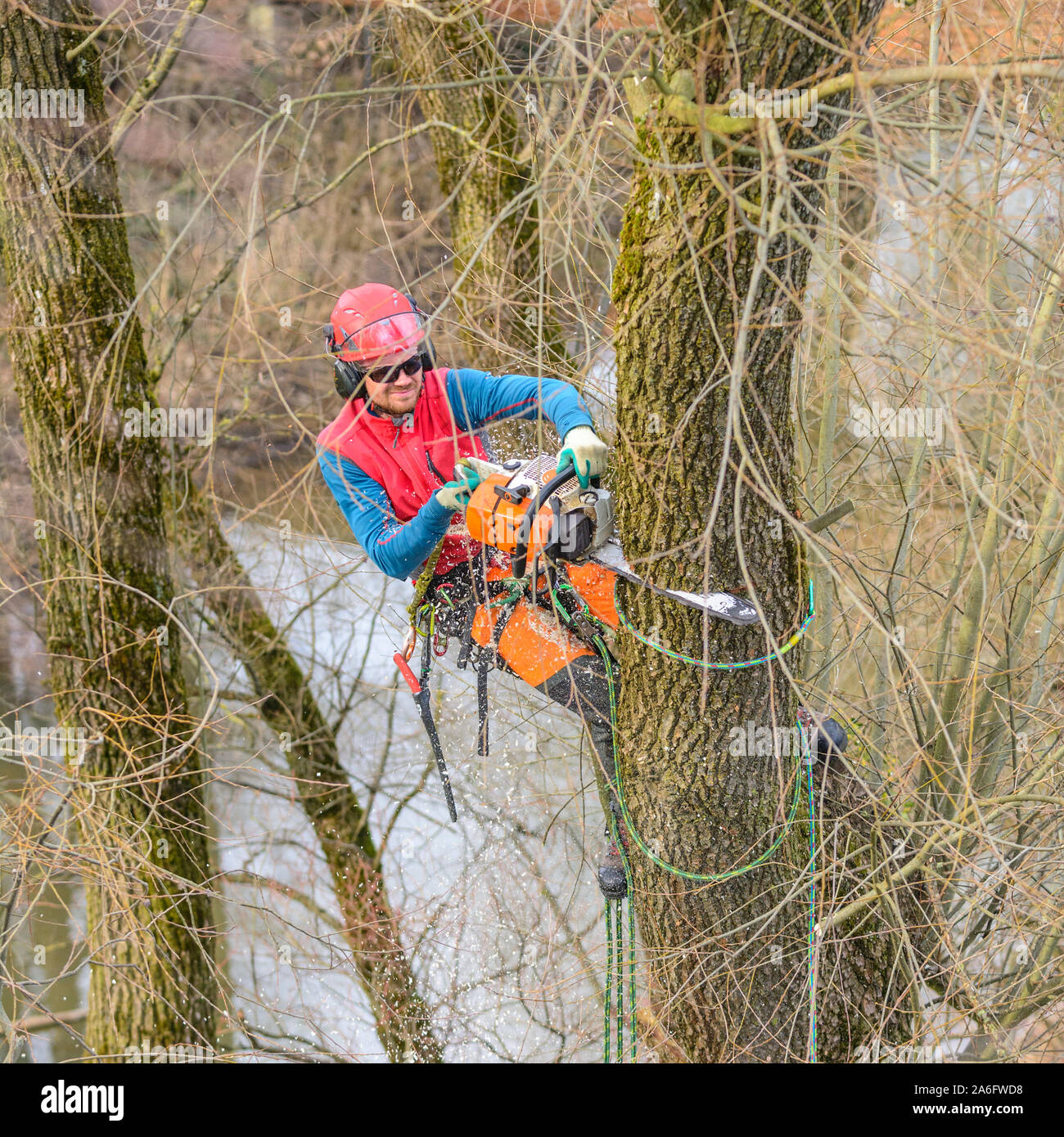 Treeworker Tun seiner schwierigen und anspruchsvollen Job Stockfoto