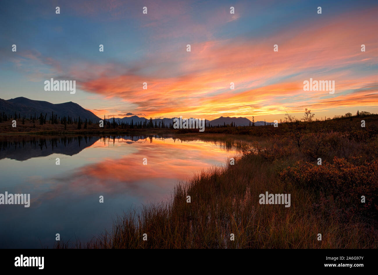 Nordamerika; USA; Alaska; Denali National Park, Alaska Range Berge; Breite; Tundra Teich; Dawn. Stockfoto