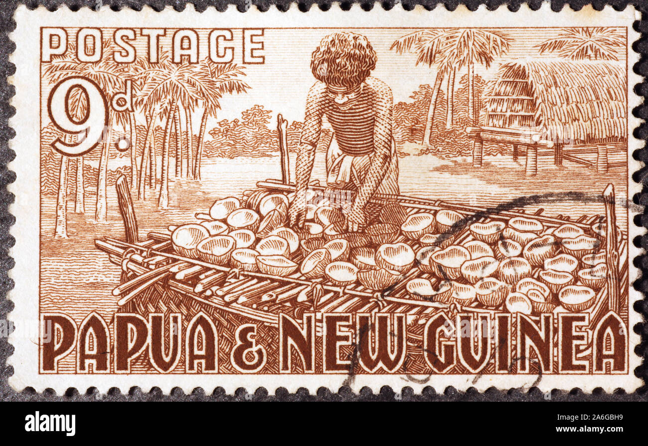 Kokosnüsse und indigenen auf Papua-neuguinea Stempel Stockfoto