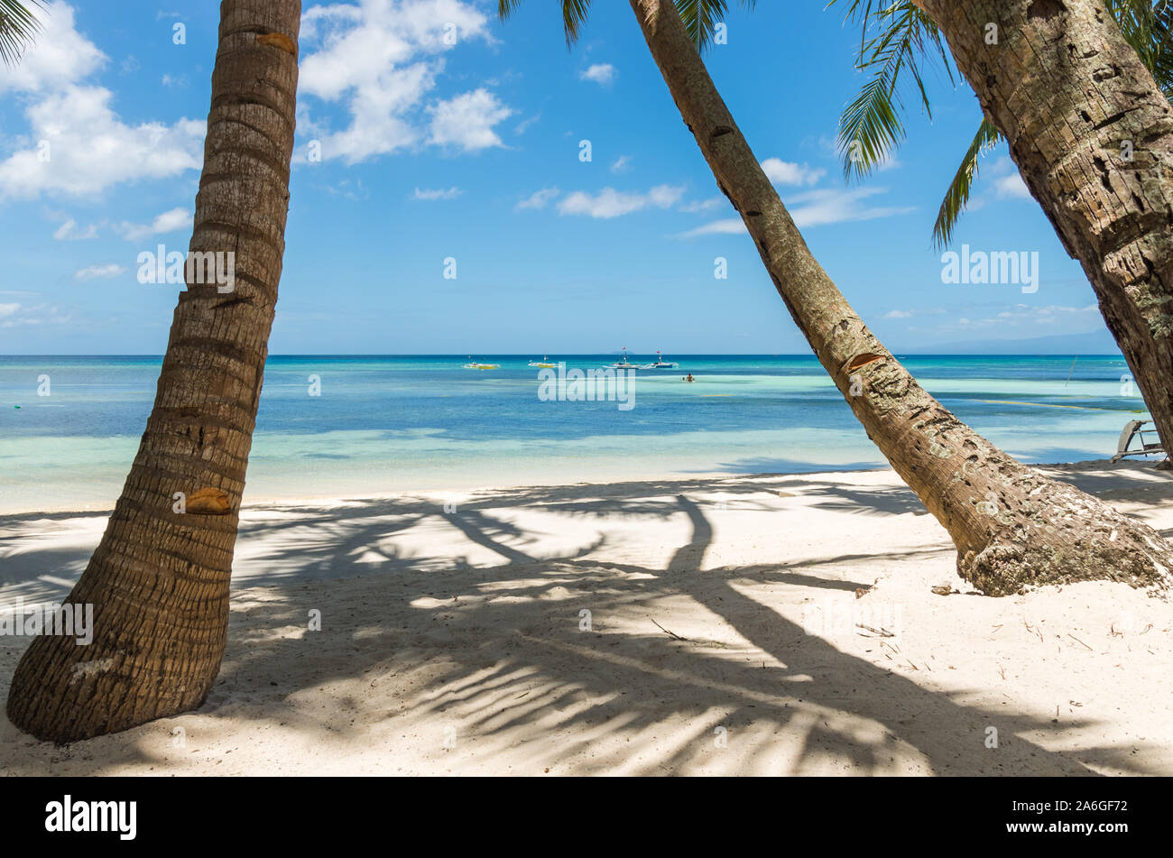 Weißer Strand, Palmen und türkisfarbenes Meer in San Juan, INSEL SIQUIJOR, Philippinen. Stockfoto