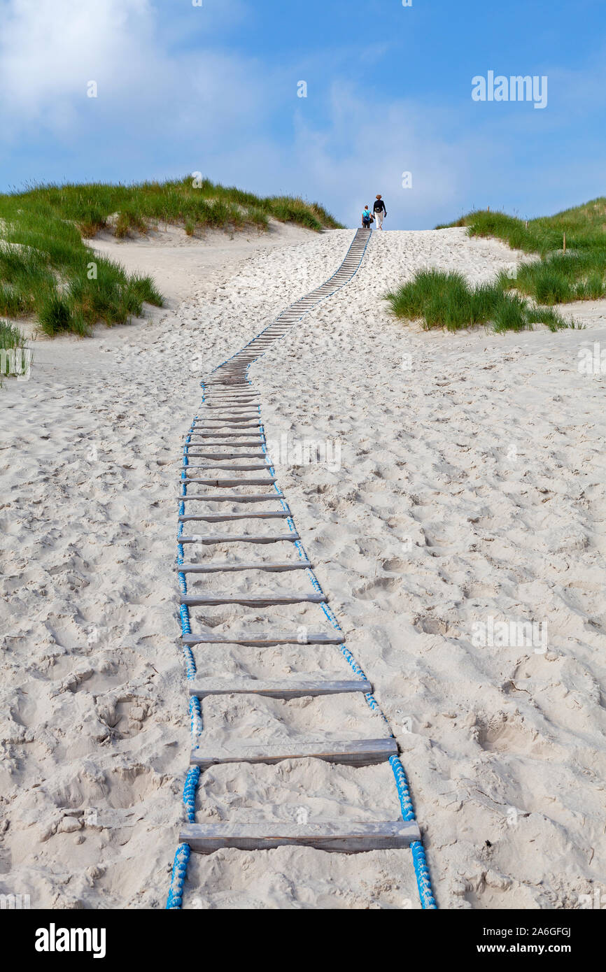 Ein Pfad durch die Dünen an den Strand und auf der Insel Amrum, Nordfriesland, Schleswig-Holstein, Deutschland. Stockfoto