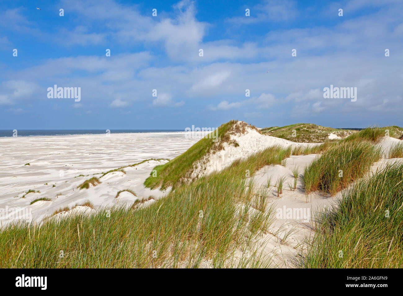 Der Strand Kniepsand und Dünen auf Amrum Insel in Nordfriesland, Schleswig-Holstein, Deutschland. Stockfoto