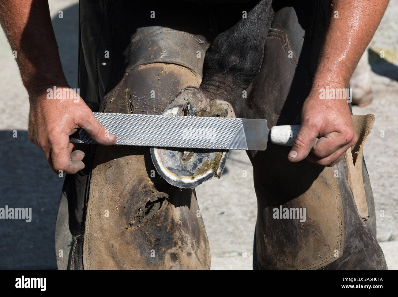 Hufschmied, traditionellen Handel der Pferde beschlagen Stockfoto