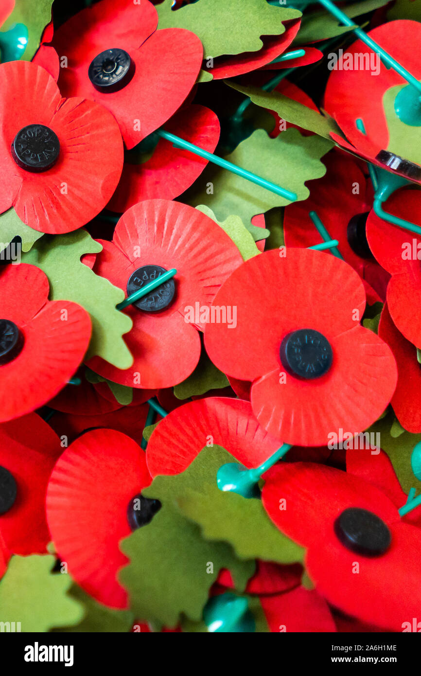 Mohnblumen am Kreuze für die Royal British Legion Poppy Appell an einem geheimen Ort gesammelt und von Freiwilligen gezählt, in Erinnerung, RBL, Mohn Stockfoto