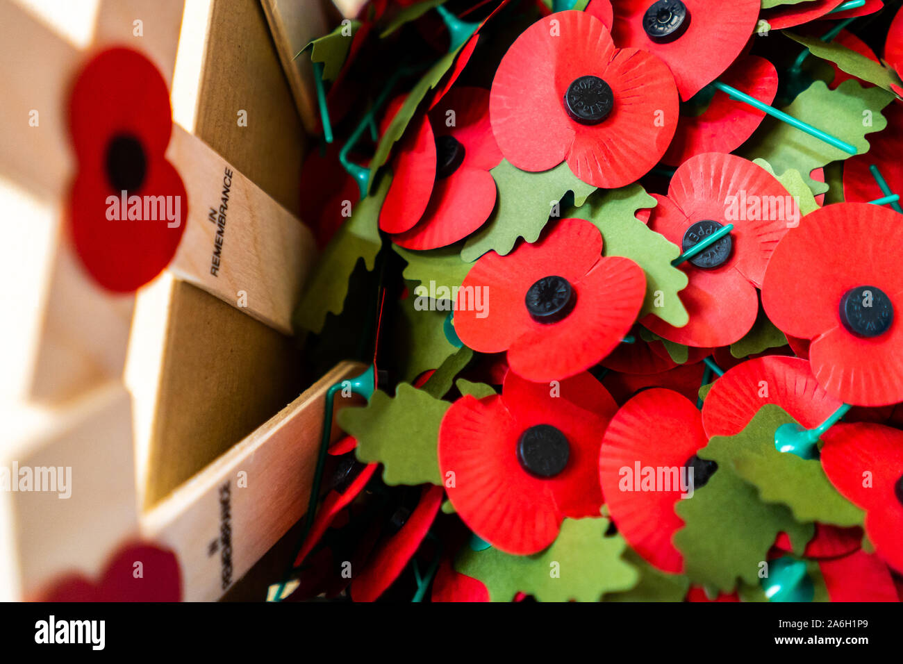 Mohnblumen am Kreuze für die Royal British Legion Poppy Appell an einem geheimen Ort gesammelt und von Freiwilligen gezählt, in Erinnerung, RBL, Mohn Stockfoto