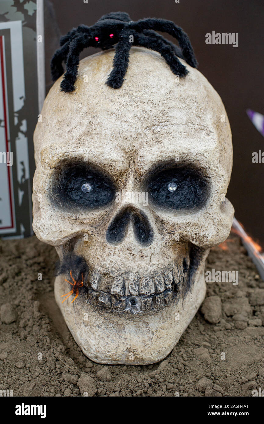 Halloween ist bald, Skelett im gestreiften Anzug und Hut. Halloween ist bald da. Skelett Schädel Stockfoto