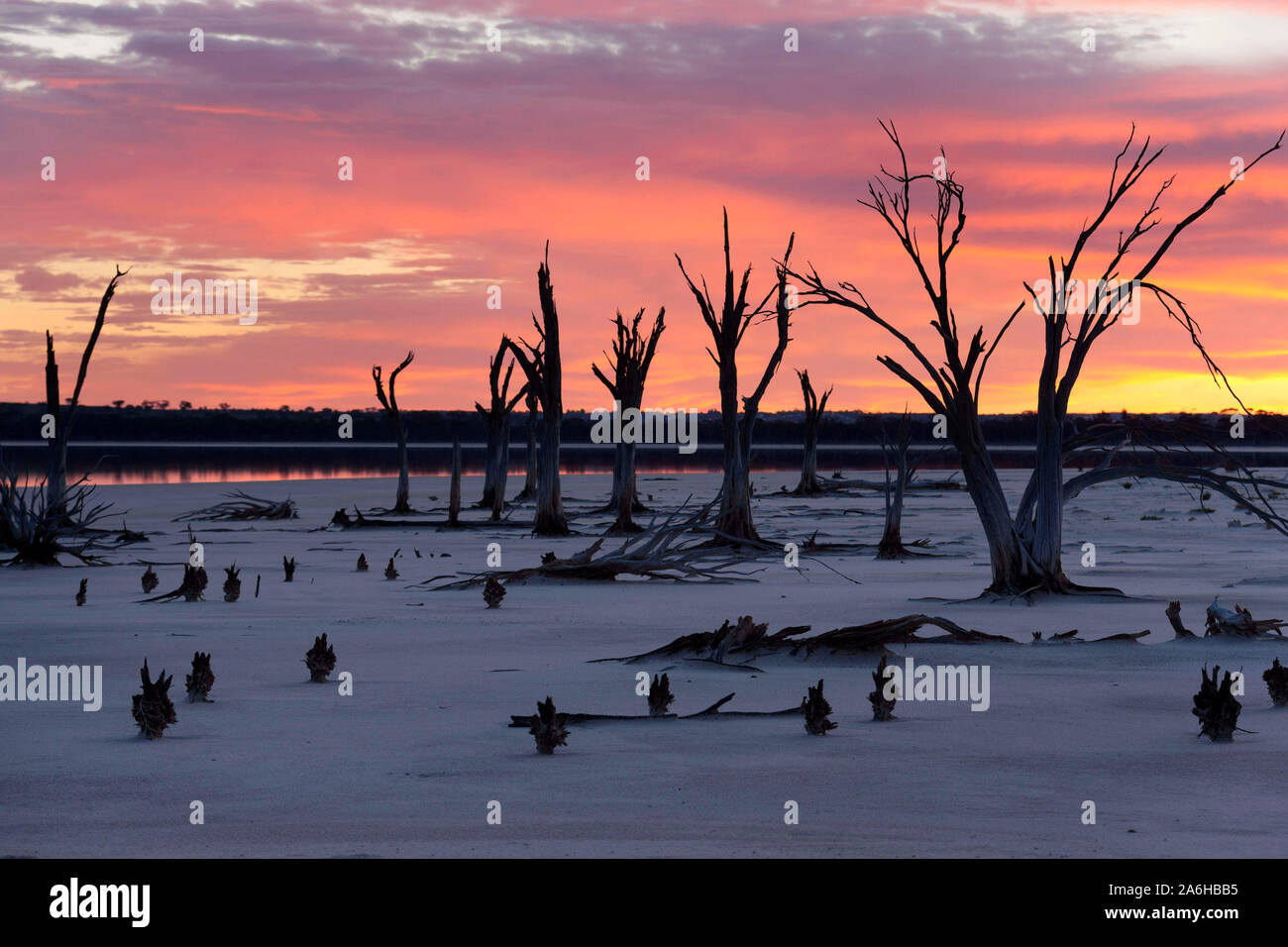 Cordillera Salt See, Victoria Plains Westaustraliens Stockfoto