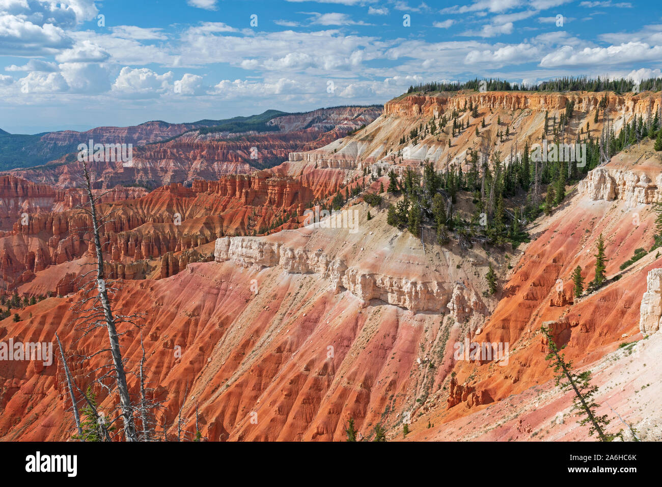 Bunte Klippen im Sommer Sonne in Cedar Breaks National Monument in Utah Stockfoto