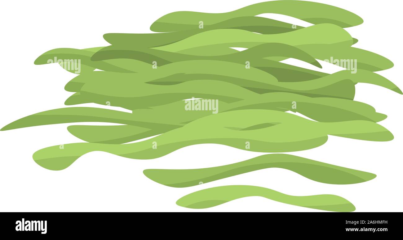 Geschnittener Kohl Symbol, isometrische Stil Stock Vektor