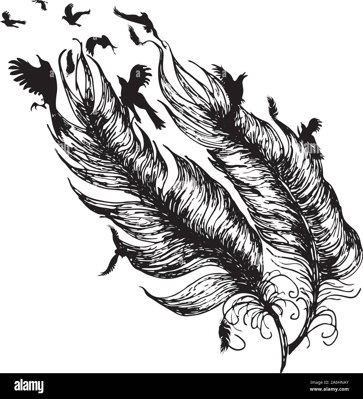 Fliegende Vogel Und Federn Silhouette Tattoo Design In Schwarz Und Weiss Stock Vektorgrafik Alamy