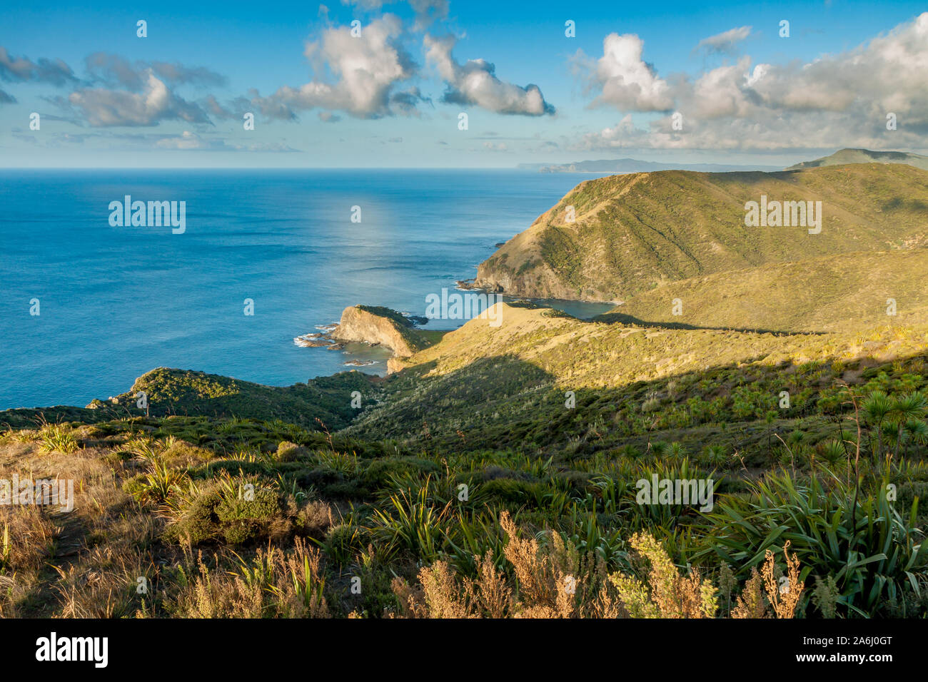 Cape Reinga, der nördlichste Teil von Neuseeland Stockfoto