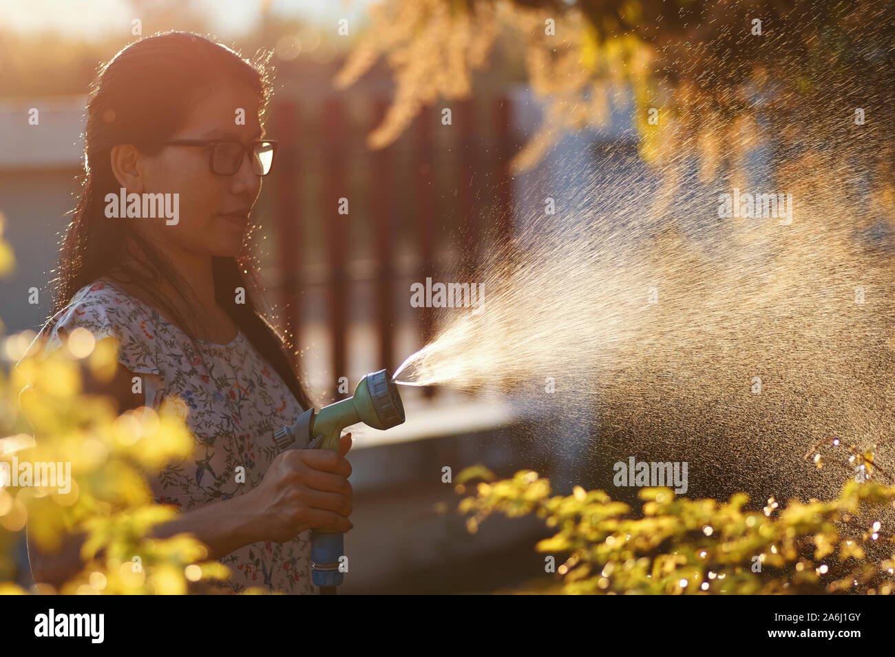 Frauen Bewässerung von Pflanzen mit Sprinklern im warmen Sonnenlicht Stockfoto