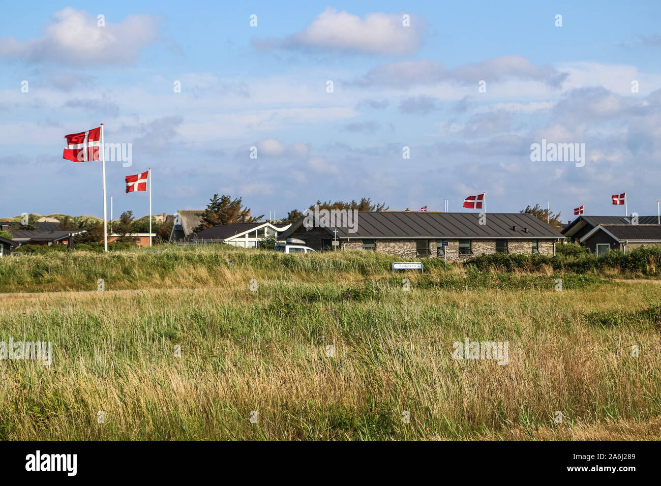 Häuser zwischen den Dünen mit Gras Dänische Flaggen auf dem Land in der Nähe der Hvide Sande, Dänemark am 28. Juli 2019 © Michal Fludra/Alamy Leben Nachrichten gesehen werden Stockfoto