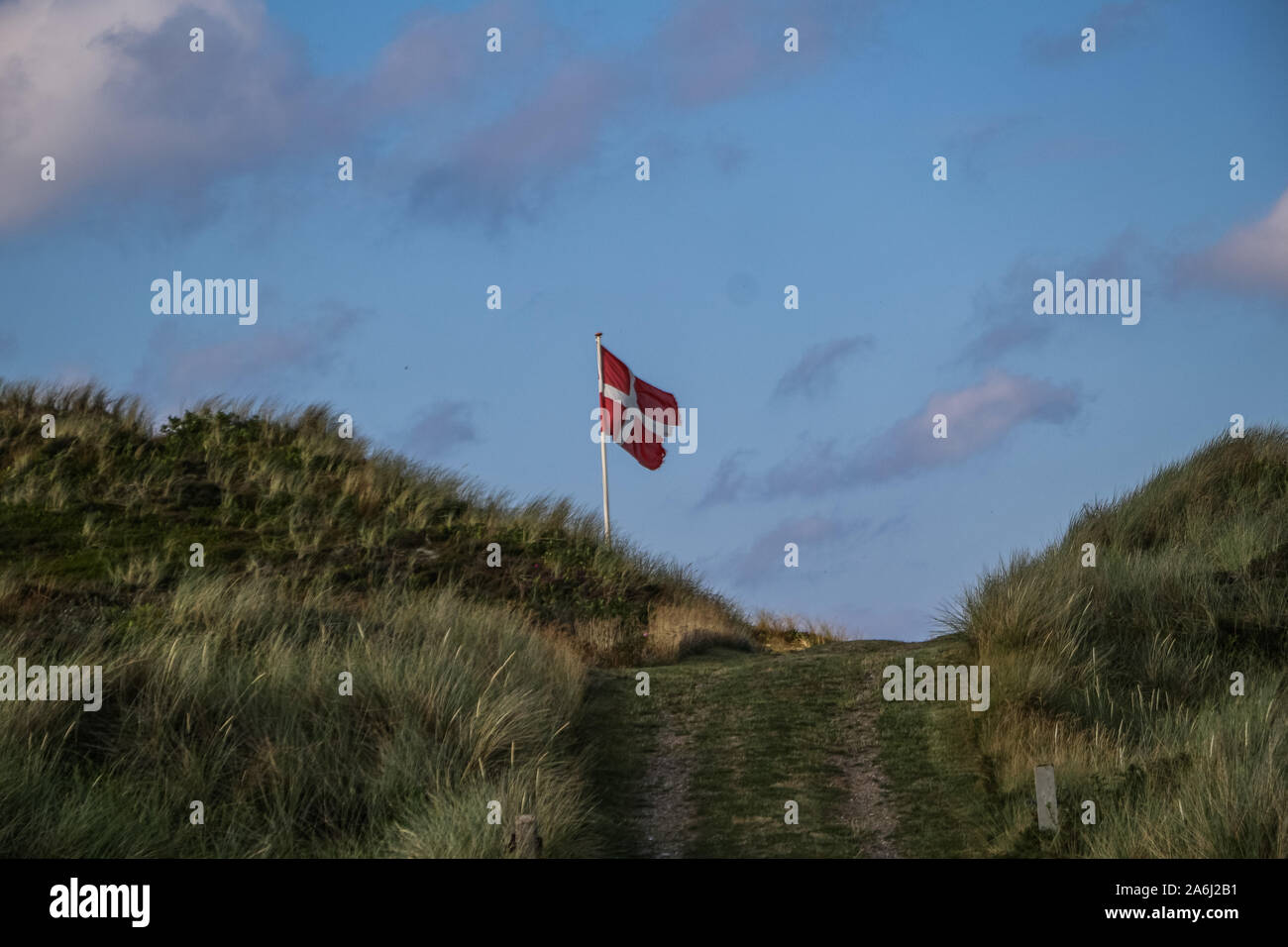 Dänische Flagge im Wind auf dem Gras bedeckte Dünen ist in Hvide Sande, Dänemark am 28. Juli 2019 © Michal Fludra/Alamy Live Nachrichten gesehen Stockfoto