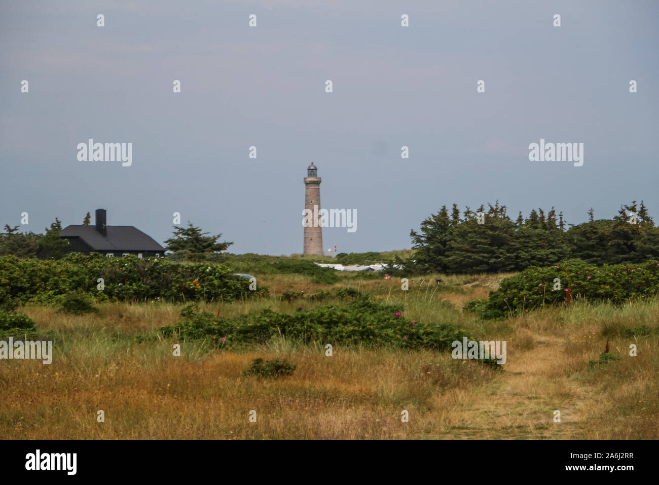 Leuchtturm (graa Skagen Fyr) ist in Skagen, Dänemark am 28. Juli 2019 © Michal Fludra/Alamy Live News sen Stockfoto