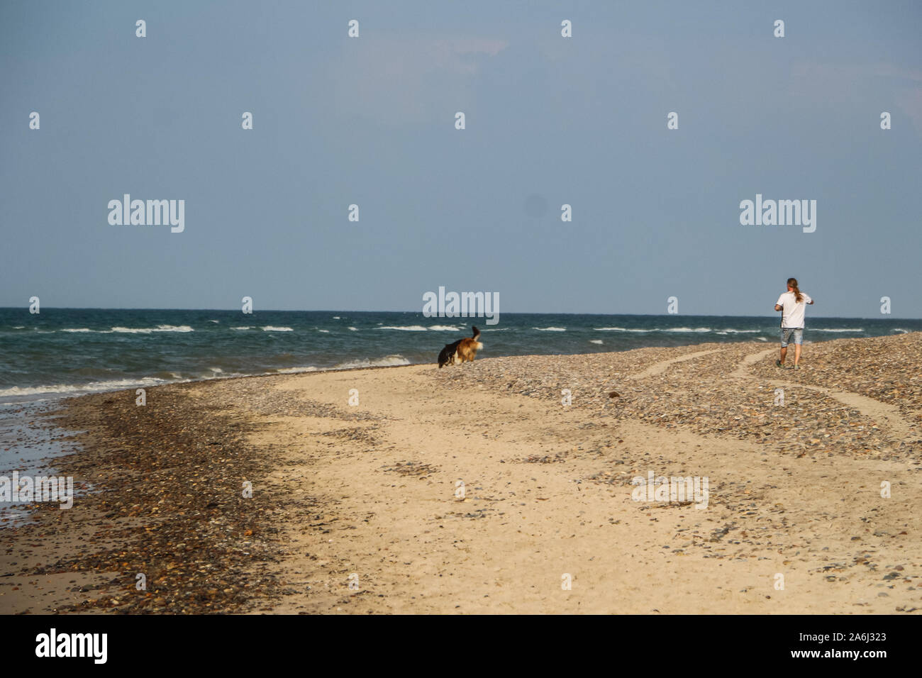 Mann mit Hund auf der Suche nach Müll vom Meer am Strand einschließlich Fischernetze, Plastikmüll, Flaschen ist am Strand der Nordsee in Skagen, Dänemark am 28. Juli 2019 © Michal Fludra/Alamy leben Nachrichten Stockfoto