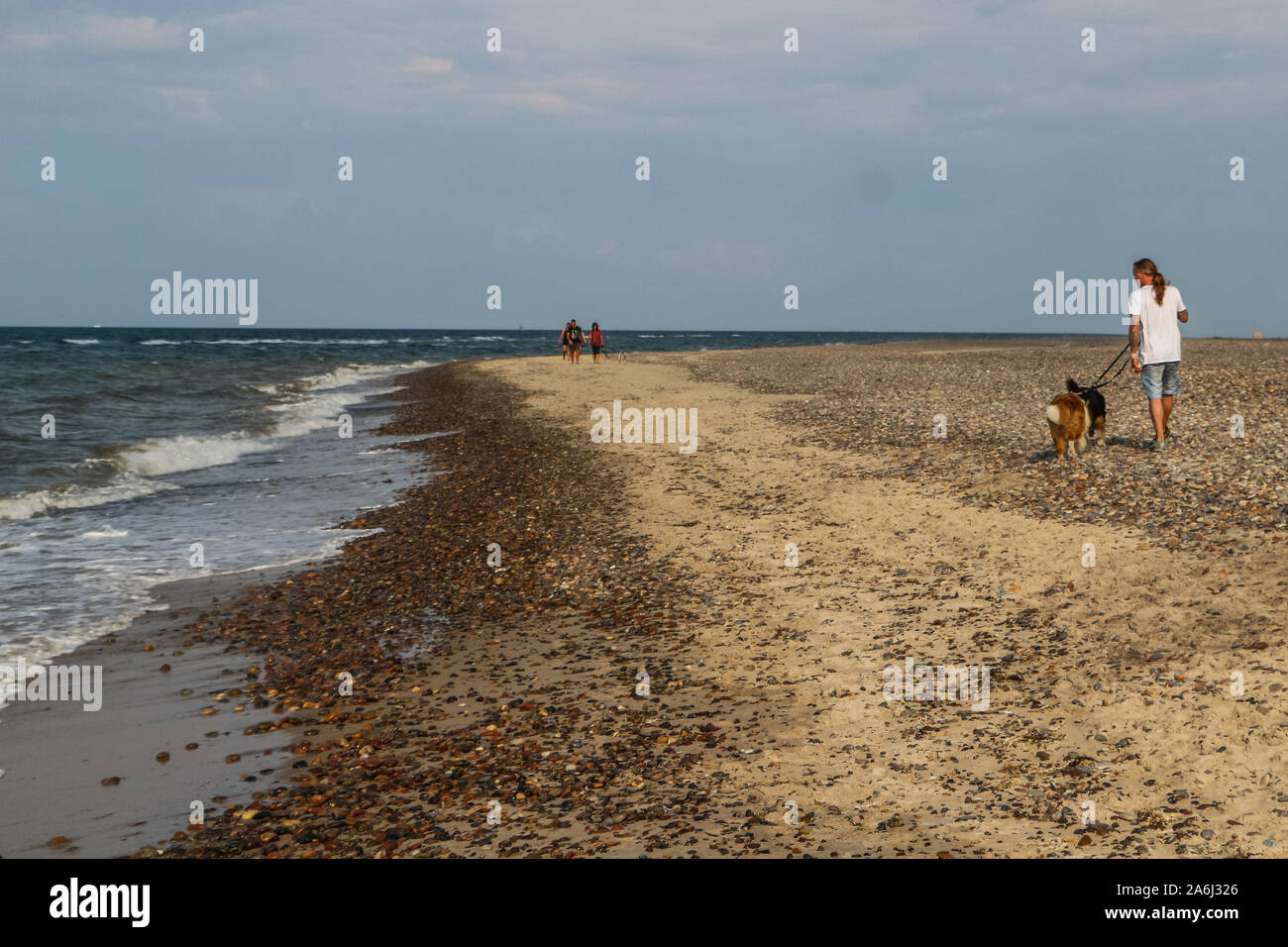 Mann mit Hund auf der Suche nach Müll vom Meer am Strand einschließlich Fischernetze, Plastikmüll, Flaschen ist am Strand der Nordsee in Skagen, Dänemark am 28. Juli 2019 © Michal Fludra/Alamy leben Nachrichten Stockfoto