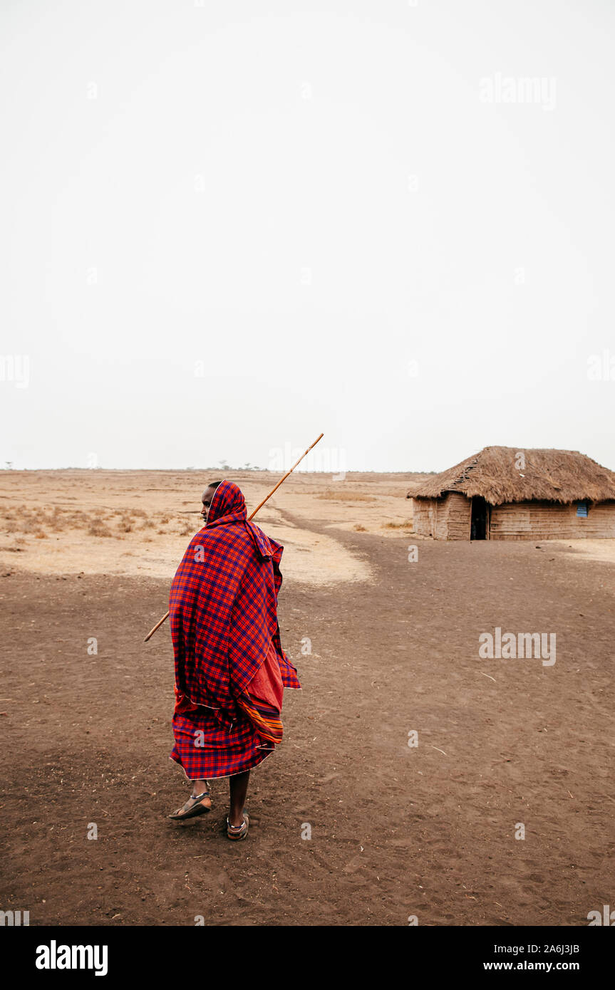 JUN 24, 2011 Serengeti, Tansania - afrikanischen Masai oder Masai Stamm Mann im roten Tuch alleine steht, sein Dorf in Leere staubige Land an kalten nebligen Tag. Stockfoto