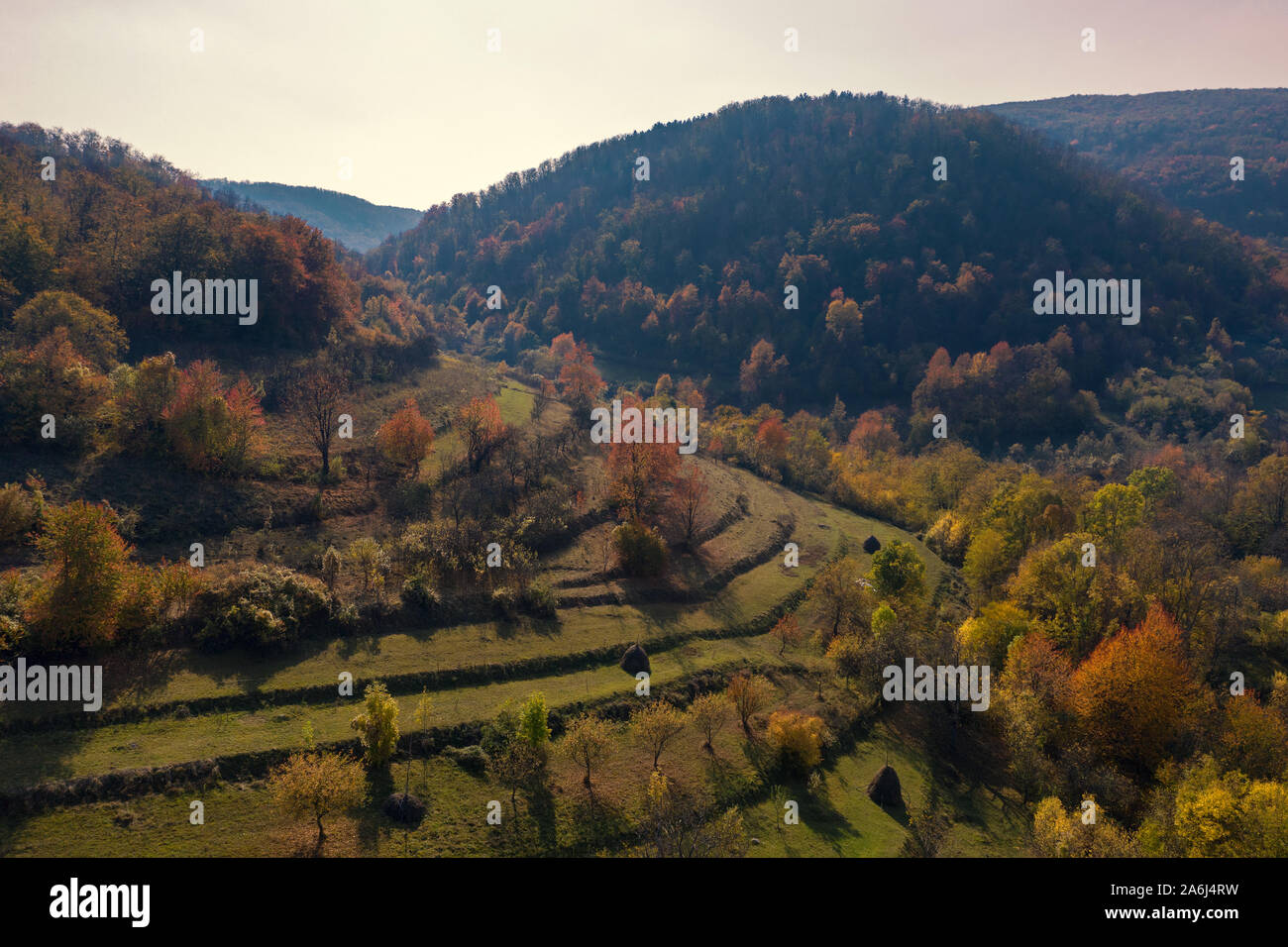 Schöne orange und rot Herbst Wald, viele Bäume auf die orange Hills Stockfoto