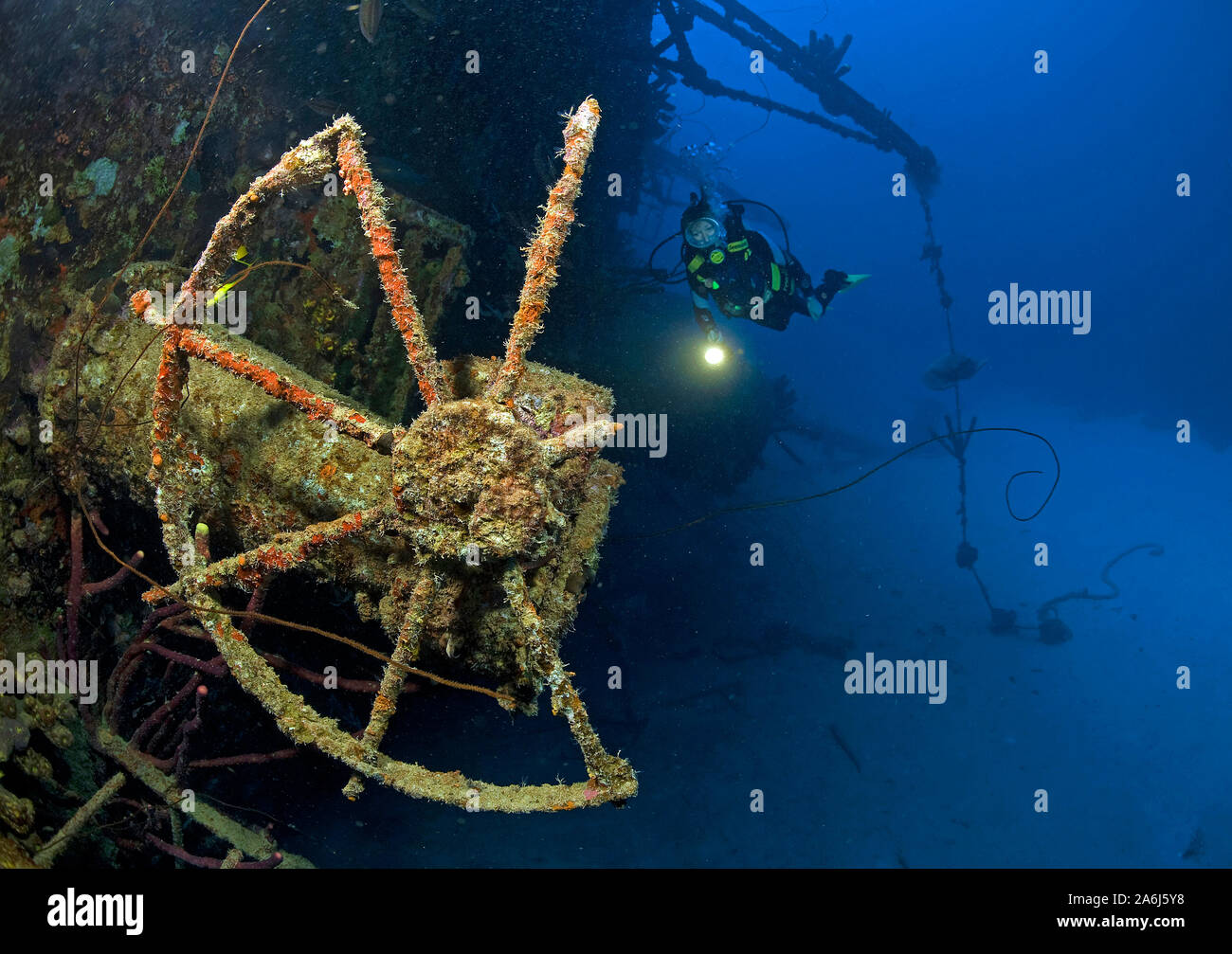 Scuba Diver am überwachsen Schiffswrack' Hilma Hooker, Bonaire, Niederländische Antillen Stockfoto