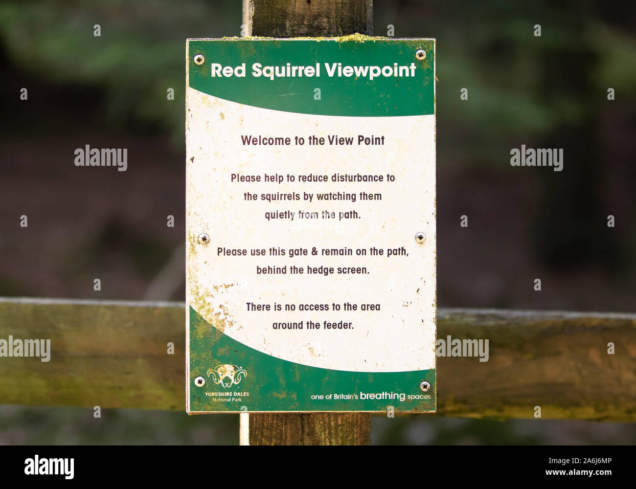 Ein Schild in der Widdale Eichhörnchen finden in North Yorkshire, Großbritannien Eichhörnchen Bevölkerung sinkt. Stockfoto