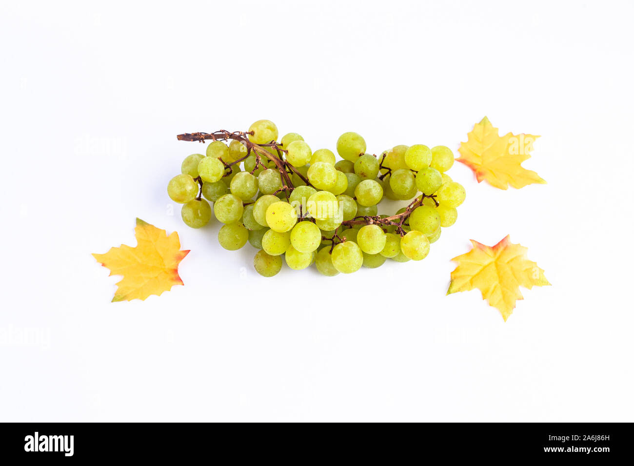 Grüne Trauben Bündel mit Blättern auf isolierten weißen Hintergrund mit dem Raum. Herbst Stile. Stockfoto