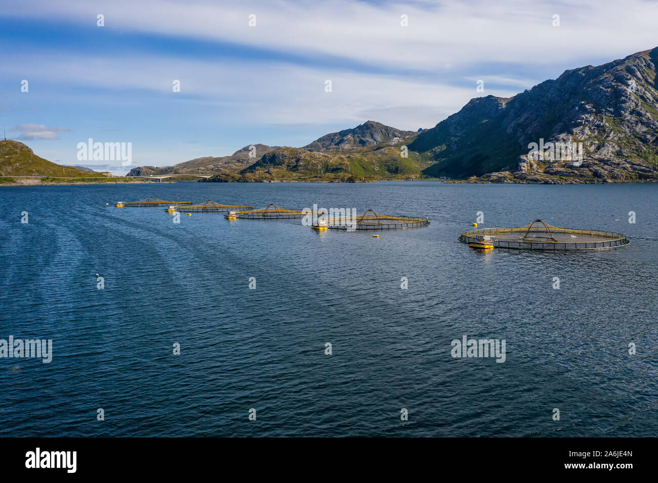 Bauernhof Lachs Angeln in Norwegen. Norwegen ist der größte Produzent von Zuchtlachs in der Welt, mit mehr als einer Million Tonnen pro Jahr produziert werden. Stockfoto