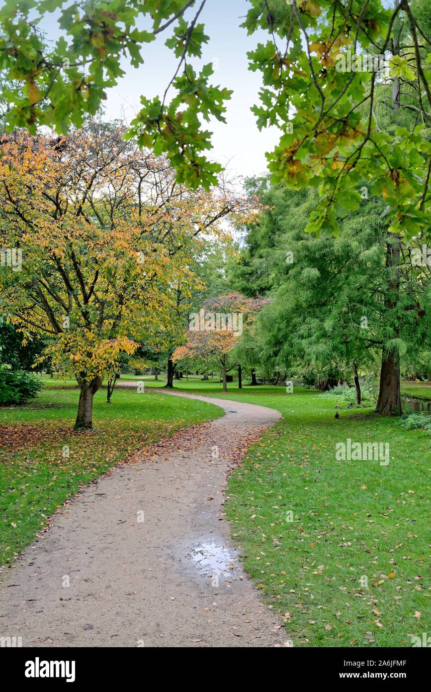 Die Plantage in Bushy Park Hampton Court West London England Großbritannien Stockfoto