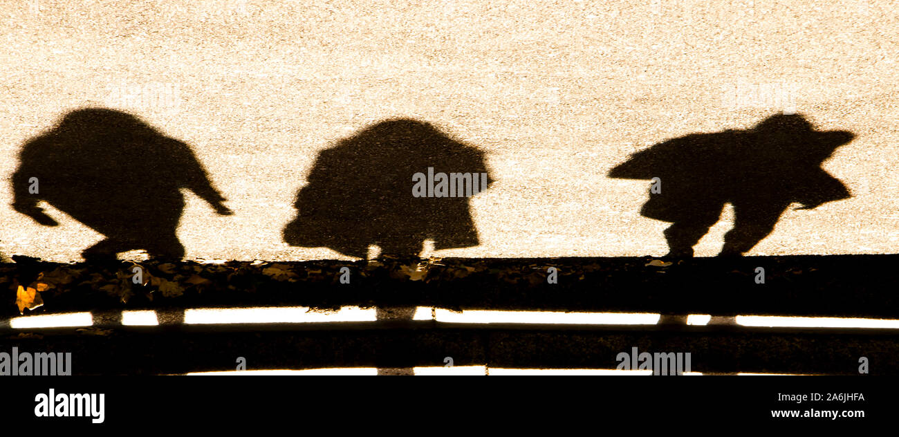 Abstrakte blurry Herbst Schatten Silhouette von thrre Menschen auf Asphalt Treppen Stockfoto