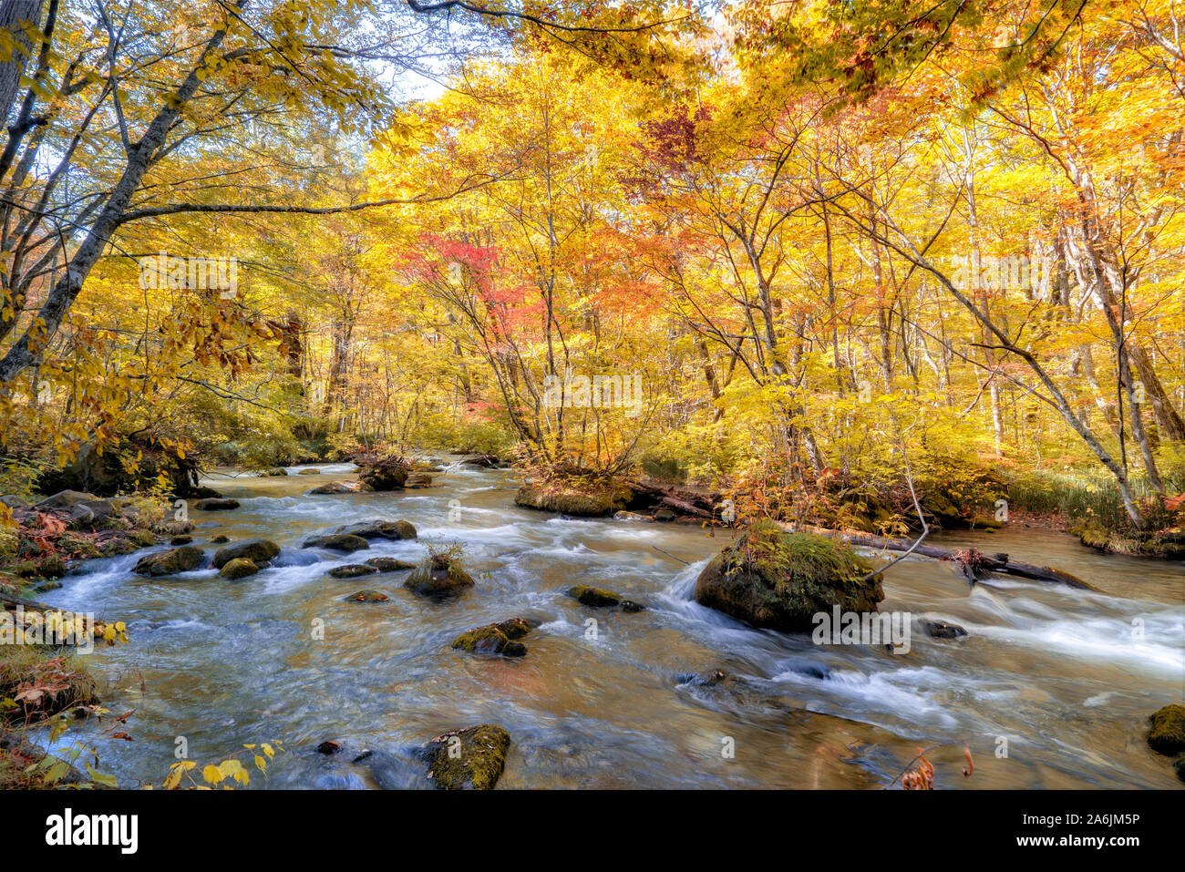 Sehen sie die schönen Wasserfall in Oirase Schlucht im Herbst, Tohoku, Aomori Stockfoto