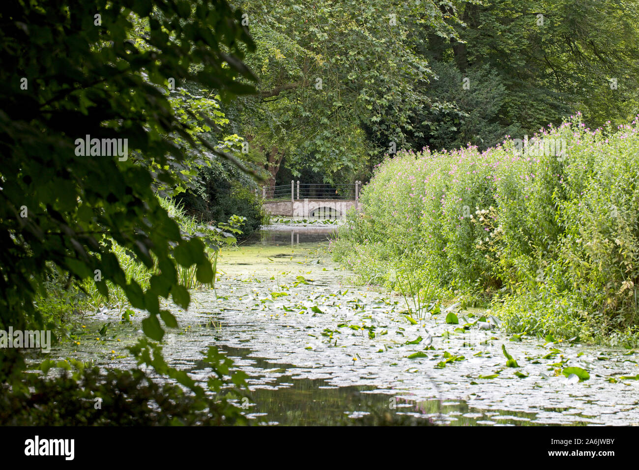 Kleine steinerne Brücke über einen Cambridgeshire Entwässerung Deich im Sommer, England, UK. Stockfoto