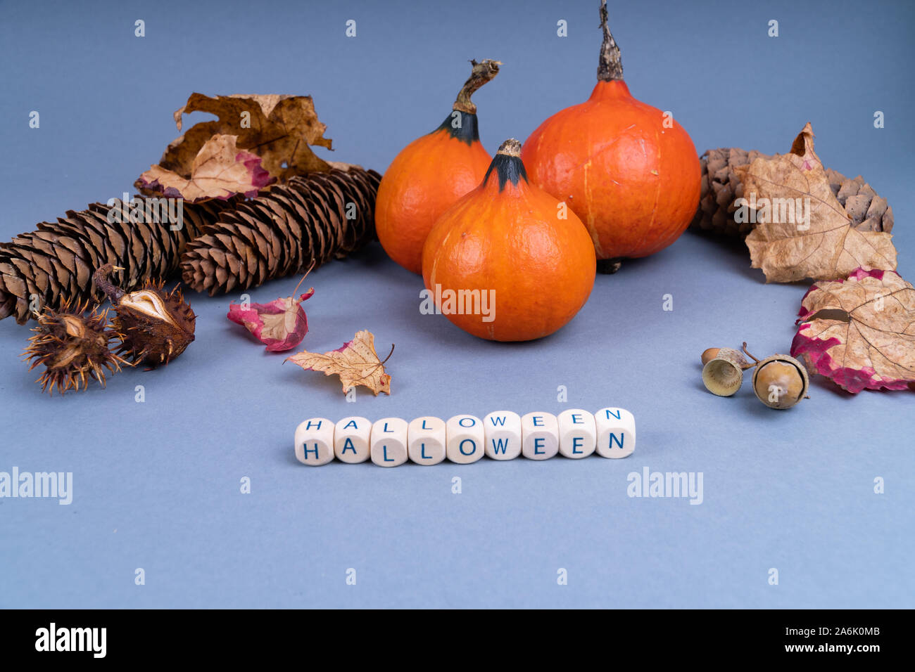 Halloween Konzept mit Kürbis, bunte Blätter, Tannenzapfen und Eicheln auf grauem Hintergrund mit Kopie Raum Stockfoto