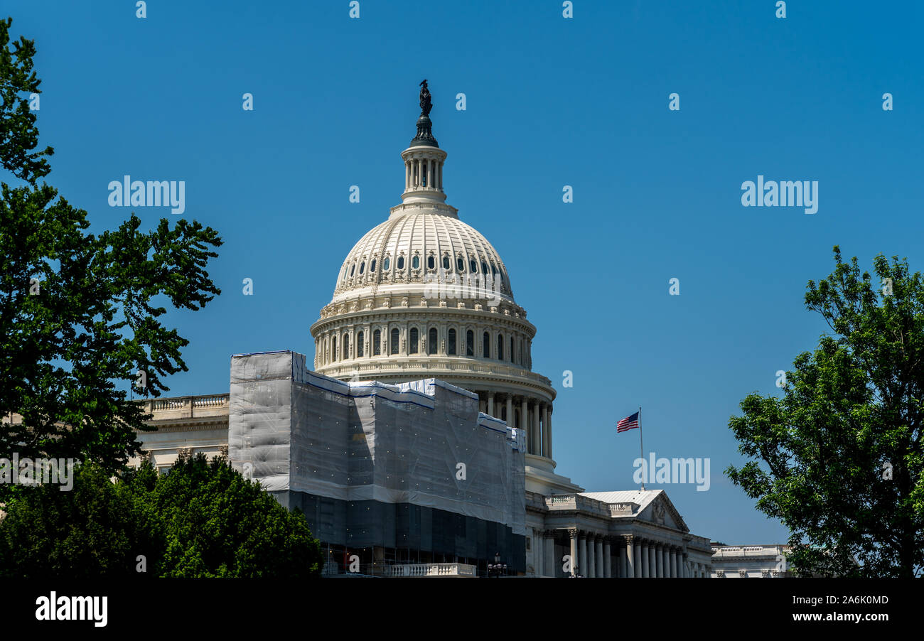 Kuppel des Kapitals Gebäude, von Bäumen eingerahmt in Washington DC. Stockfoto