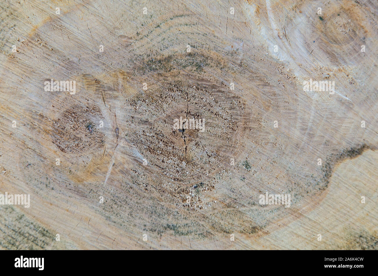 Textur sah Holz geschnitten. Textur sah Holz geschnitten. Holz Textur. Natürliche Hintergrund. Stockfoto