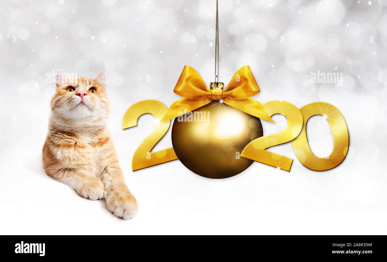2020 Frohes neues Jahr anzahl Text, Ingwer Haustier Katze mit Golden christmas ball mit Schleife isoliert auf Silber verschwommen Lichter Hintergrund Stockfoto