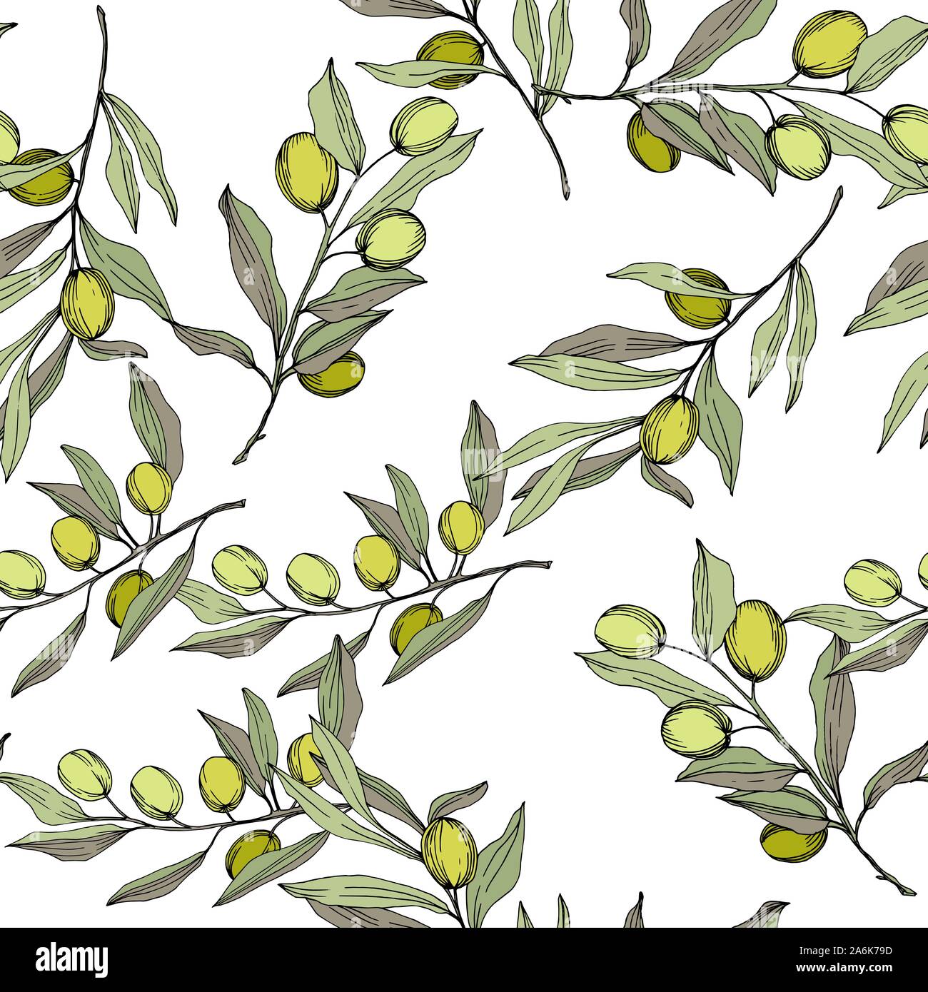 Olive Tree in einem Vektor Stil isoliert. Grün gravierten Tinte Art. Stock Vektor