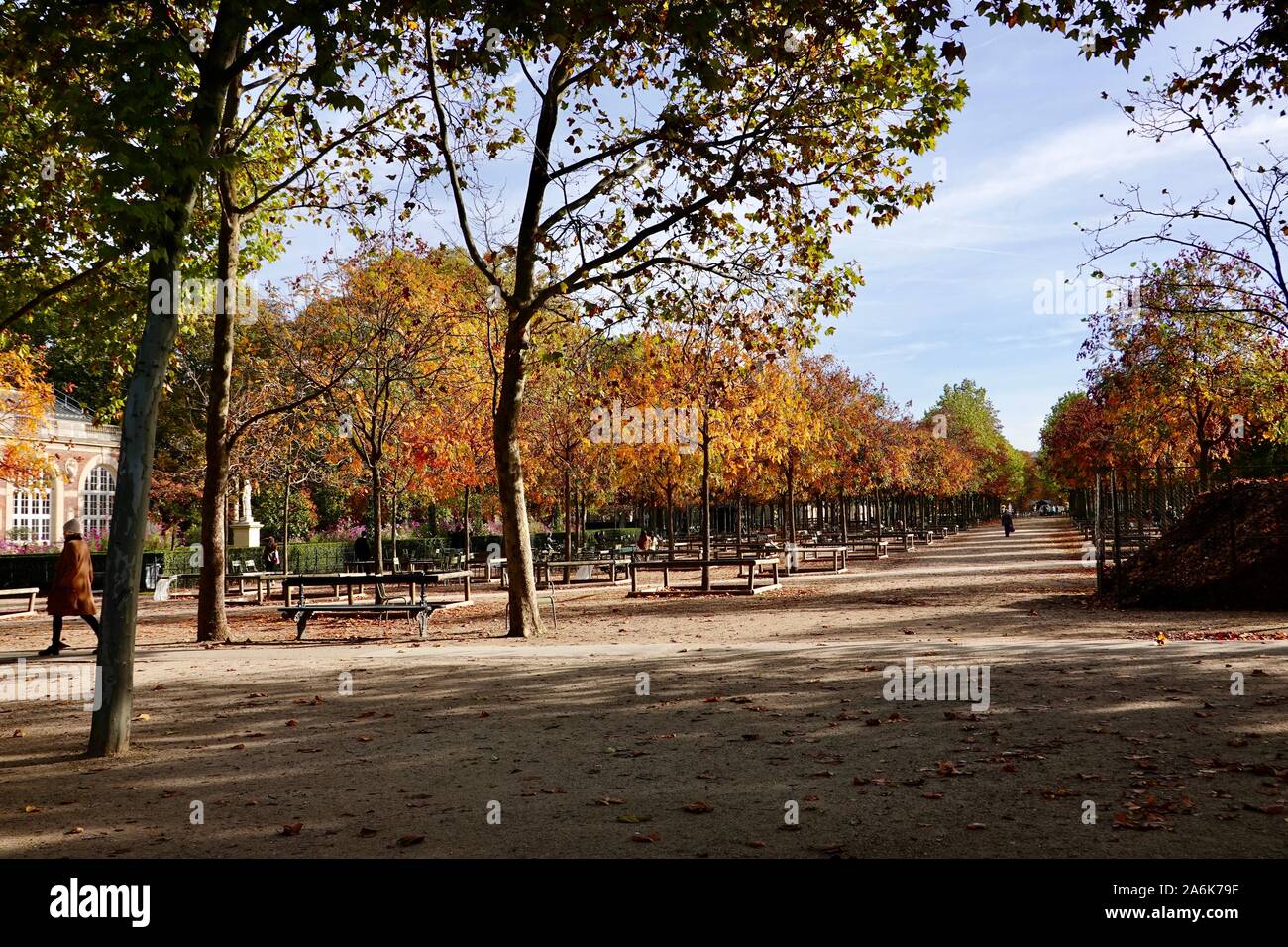 Schöne herbstliche Farben orange und gelb. Herbst in den Luxemburg Gärten, Oktober in Paris, Frankreich Stockfoto