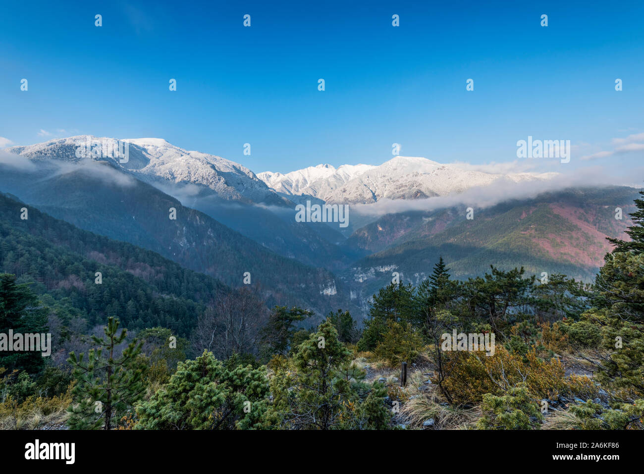 Landschaft am Berg Olymp mit Wald und den hohen Gipfeln im Hintergrund Stockfoto