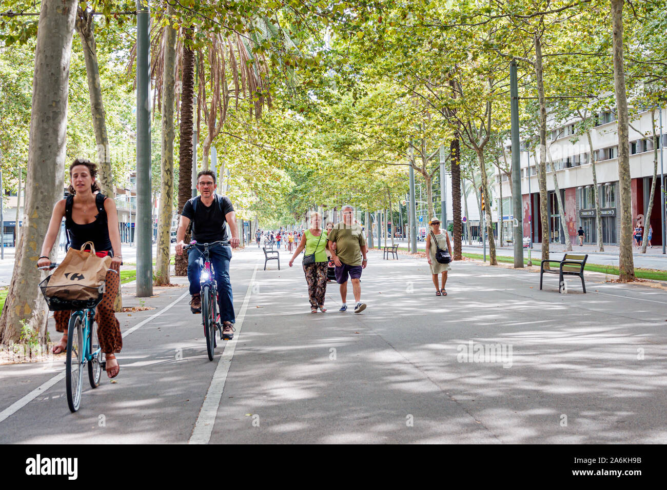 Barcelona Spanien, Katalonien El Poblenou, Avinguda Diagonal, Avenue, Fußgängerzone, ausgewiesener Fahrradweg, Wandern, Reiten, Bäume, Mann, Frau, Hispan Stockfoto