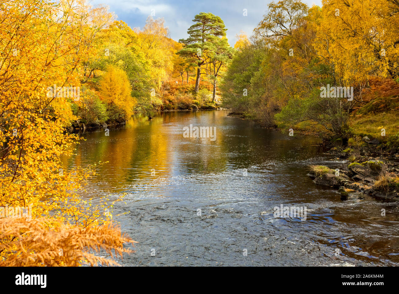 Herbst im Glen. Fluss Farrar, der durch die schöne Glen Strathfarrar, Highlands, Scotlands. Landschaft, Horizontal. Platz für Kopieren. Stockfoto