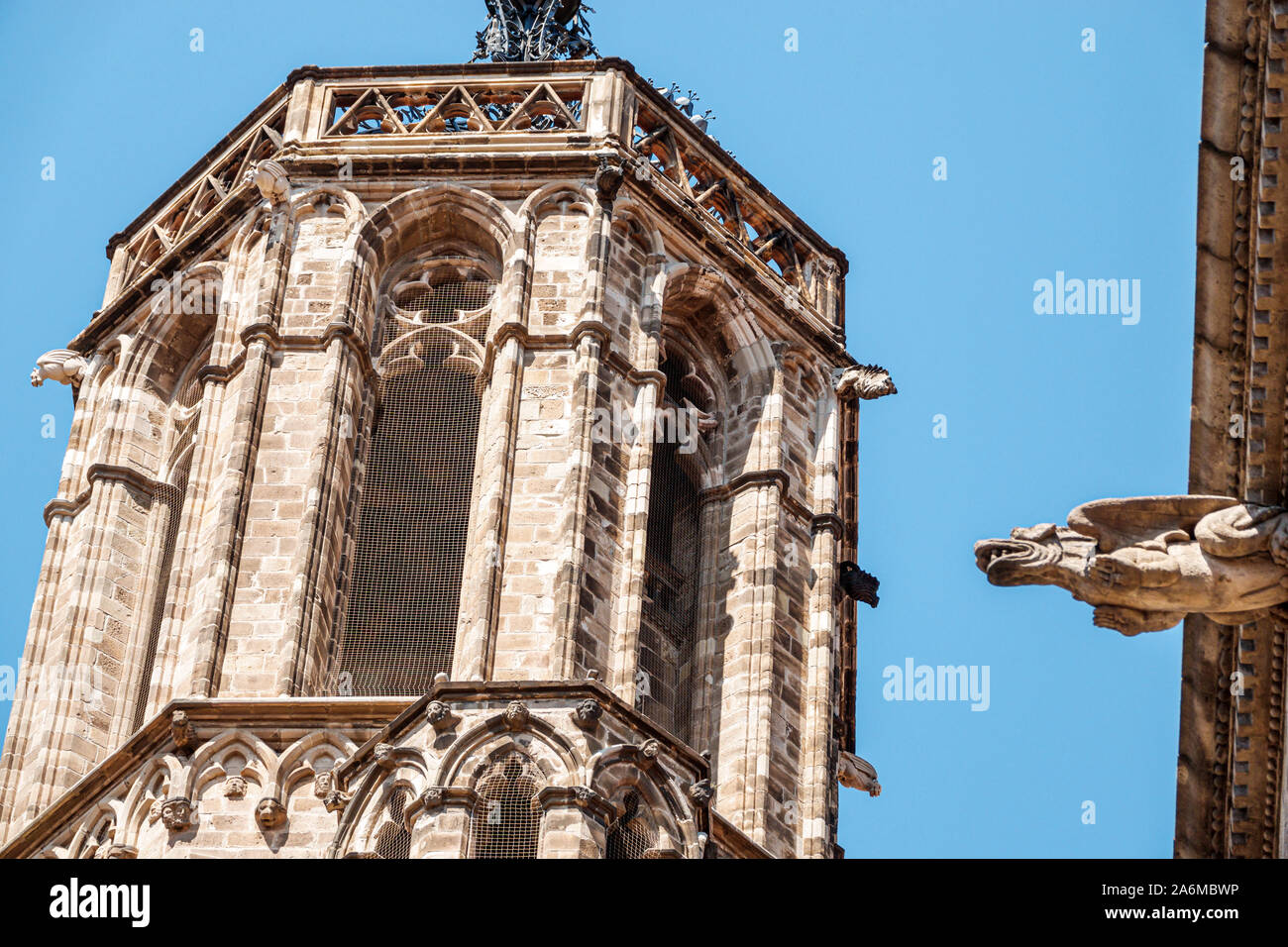 Barcelona Spanien,Katalonien Catalunya,Ciutat Vella,Altstadt,Gotisches Viertel,Kathedrale des Heiligen Kreuzes und Saint Eulalia,gotische römisch-katholische Ca Stockfoto