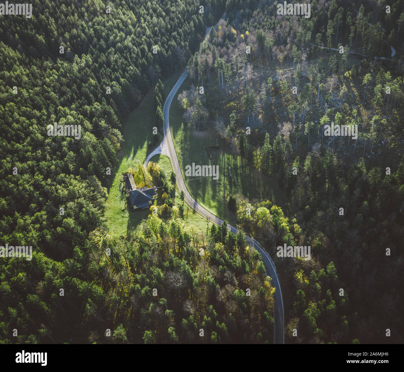 Haus im Wald, Blick von der Drohne Stockfoto