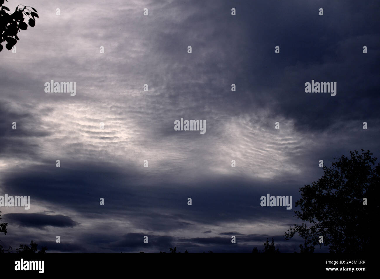 Gewellte Wolken vor einem Sturm. Stockfoto