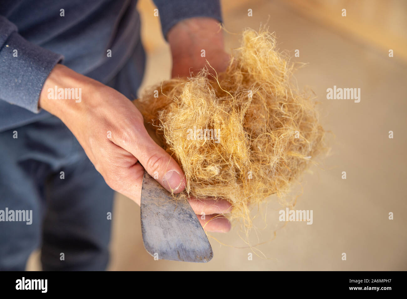 Hand eines Arbeitnehmers, Hanf, Wolle, eine ökologische Dämmung, die umweltfreundlich ist und vollständig recycelbar Stockfoto